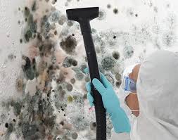 Trusted Locust Valley, NY Mold Removal Services Experts